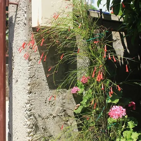 Apartments With Parking Space Orebic, Peljesac - 4516 *