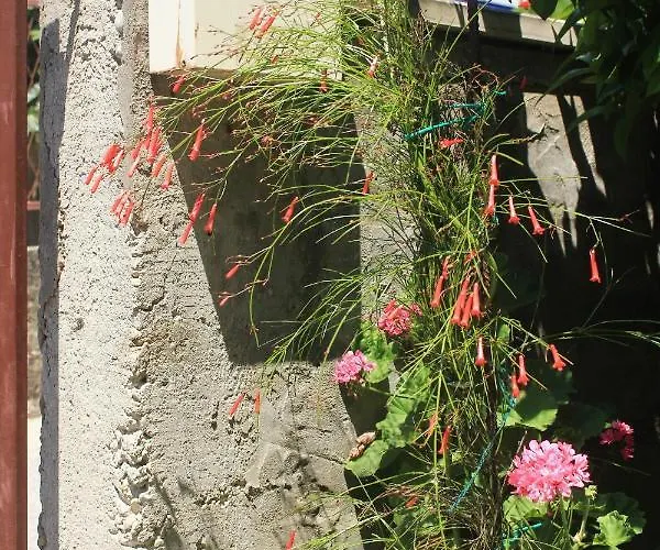 With Parking Space Orebic, Peljesac - 4516 *